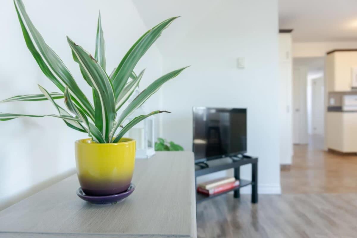 Amazing Location In Saint John 2 Bedroom Modern Parking New 외부 사진