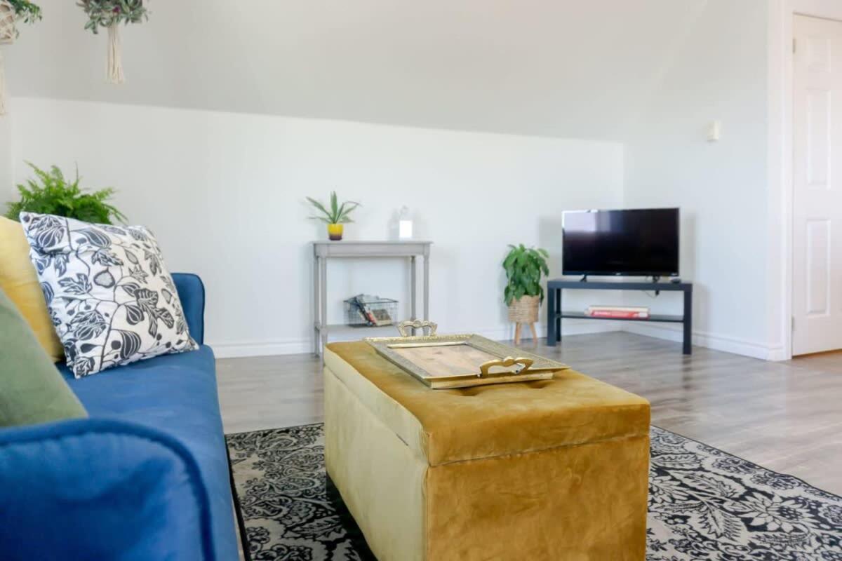 Amazing Location In Saint John 2 Bedroom Modern Parking New 외부 사진