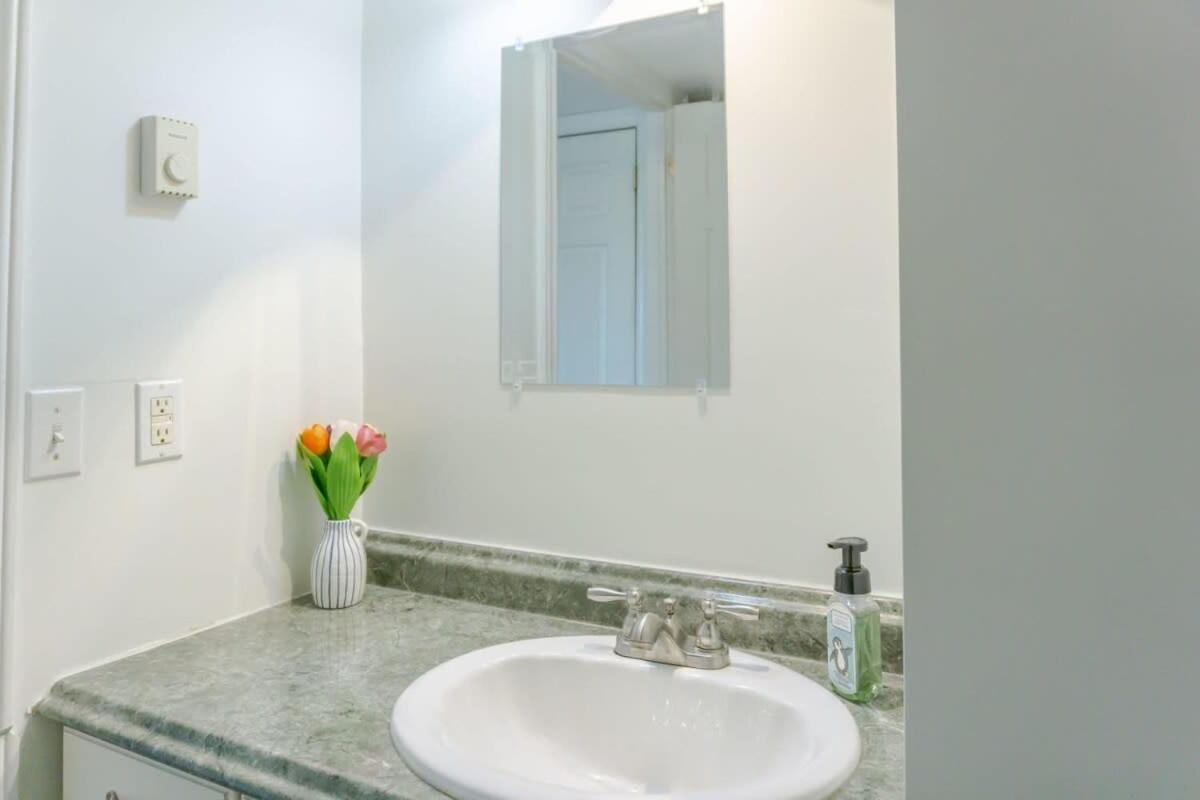 Amazing Location In Saint John 2 Bedroom Modern Parking New 외부 사진